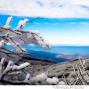 Winter in Higher Elevations, Appalachia by DenesiaChristine