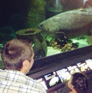 Checking out the Giant Mr. Grouper with "Cousin Stevie"