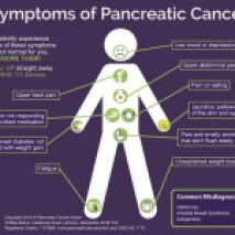 https://pancreaticcanceraction.org/pancreatic-cancer/symptoms/